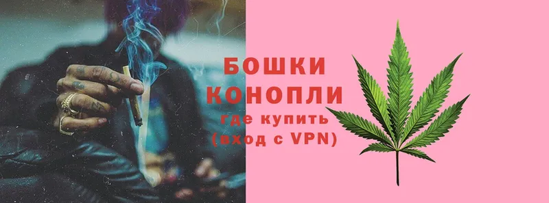 Бошки Шишки THC 21%  Электросталь 